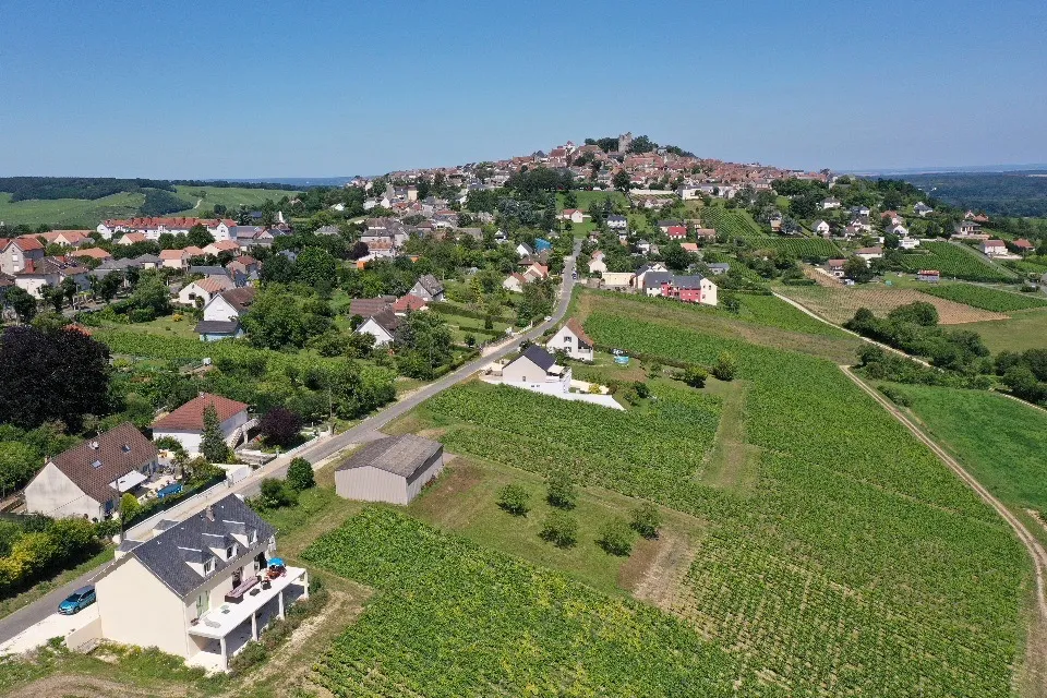Les Vignes Sancerroises — Web + Print + Automation preview 2
